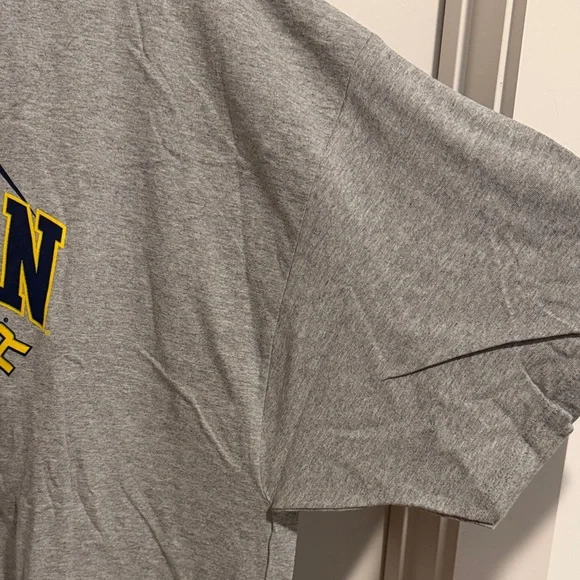 Champion Michigan 2018 Final Four Gray T-Shirt NWT - Picture 5 of 8